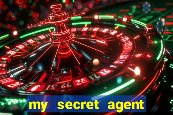my secret agent husband legendado